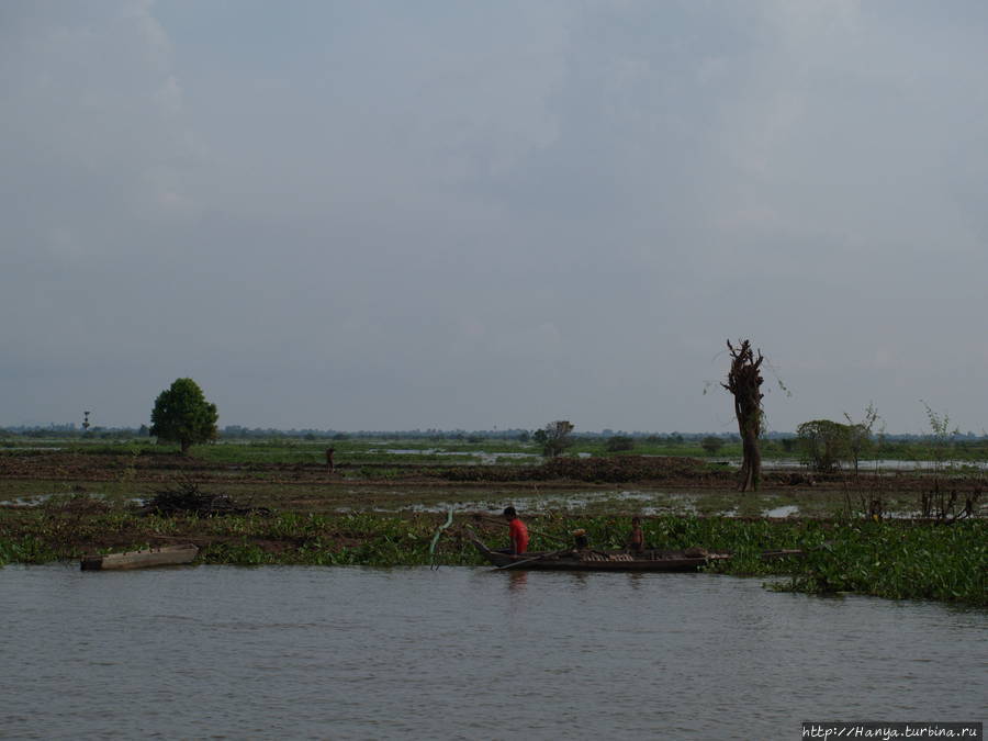 Вдоль Меконга. Сети для рыб. Фото из интернета Сиемреап, Камбоджа