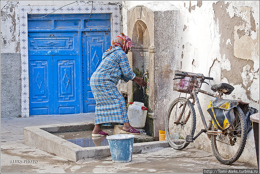 Хвостатые в лабиринтах медины (Марокканский Вояж ч16) Эссуэйра, Марокко