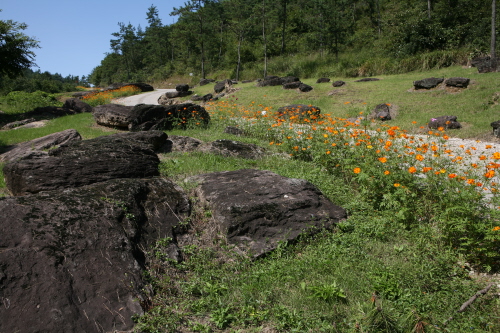 Группа дольменов в Хвасуне / Hwasun Dolmen Sites