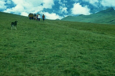 Перевал Думала