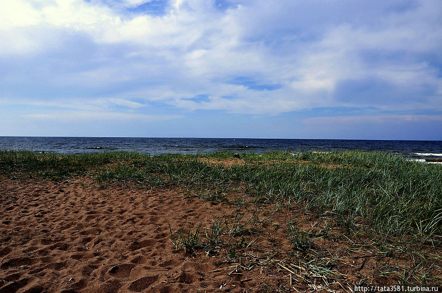 Золотые пески пляжа в Липово Сосновый Бор, Россия