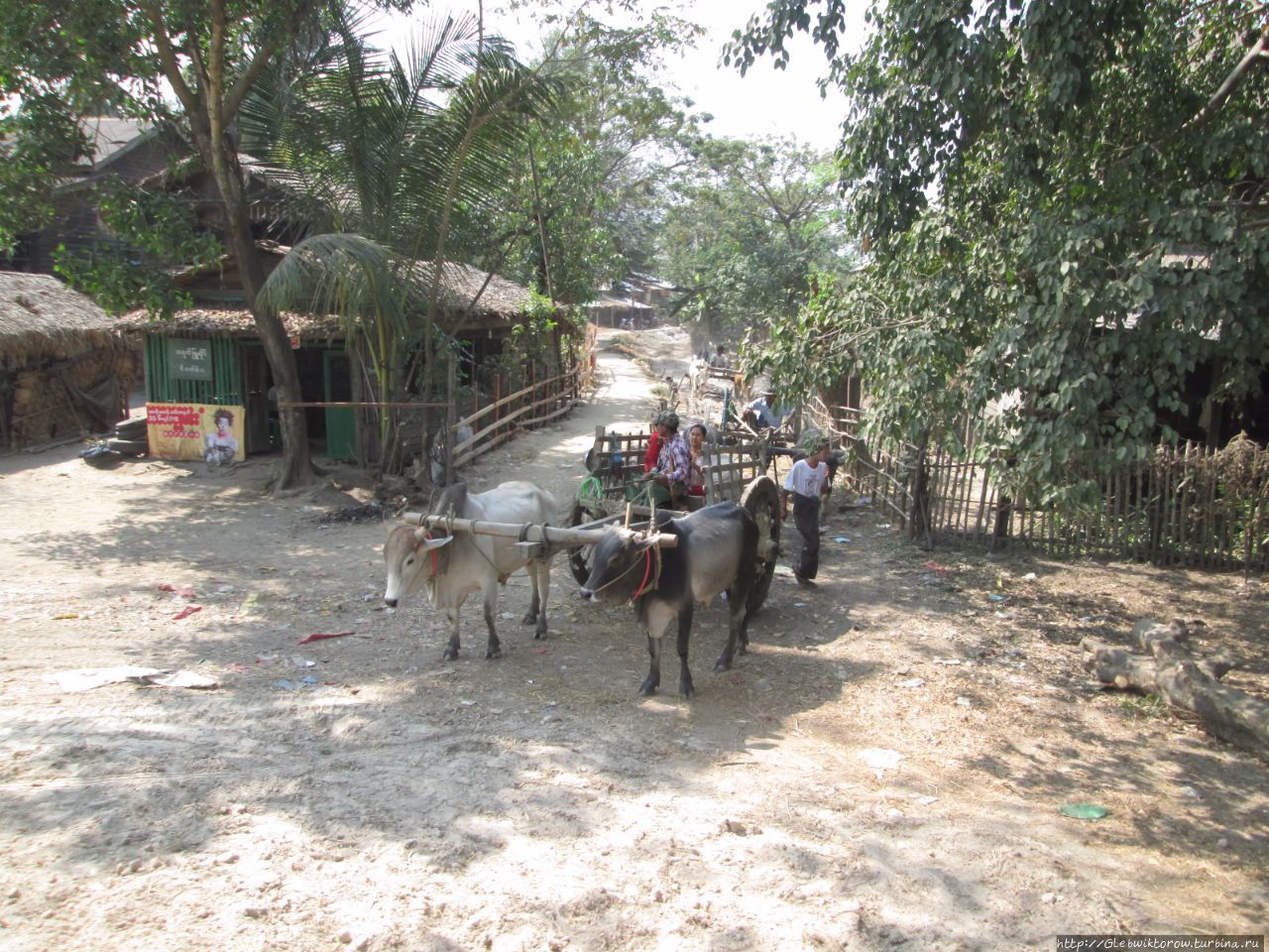 Поездка по арбузным местам Область Багоу, Мьянма