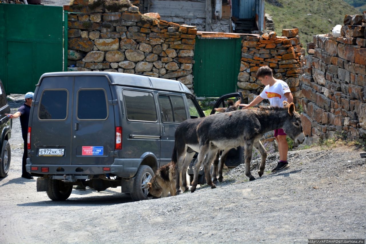 Горное селение Камунта Камунта, Россия