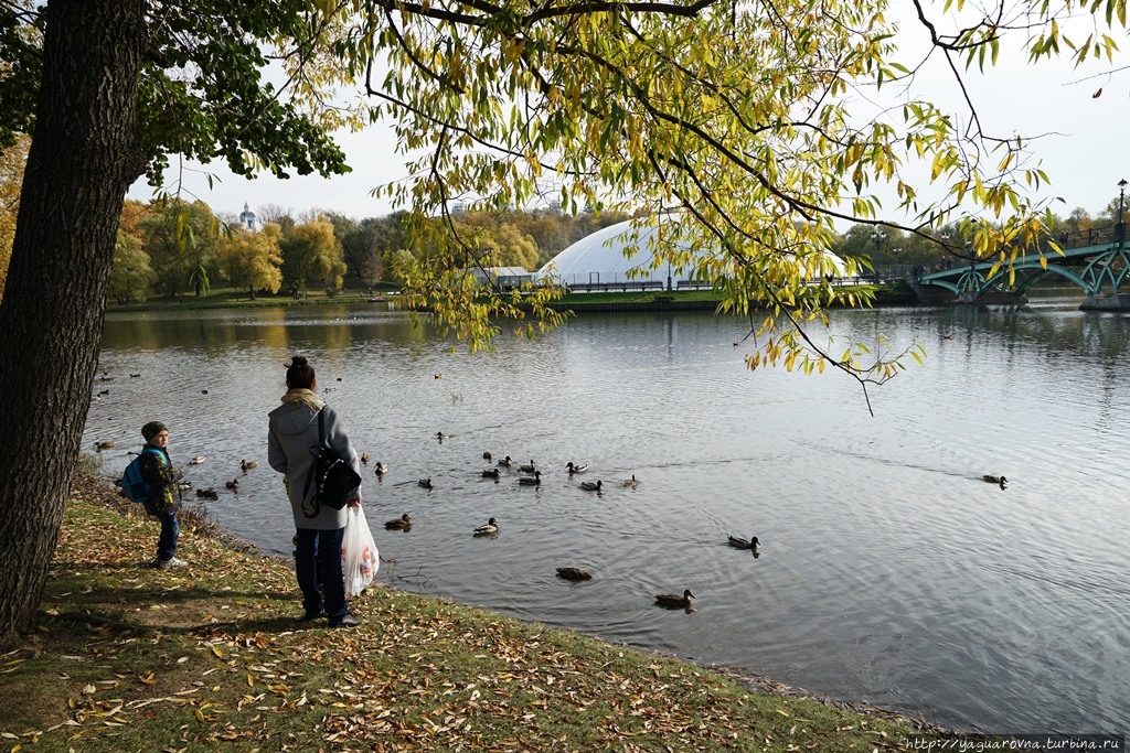 Несколько часов в парке Царицыно. Москва (город - регион), Россия