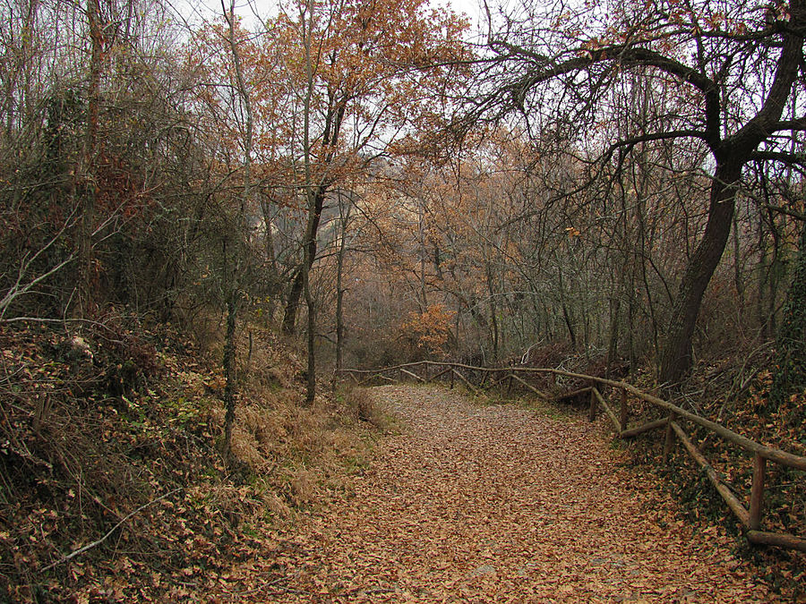 Роженский монастырь Мелник, Болгария