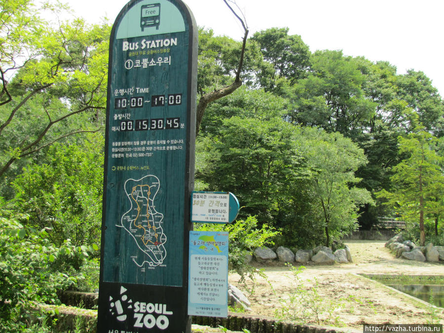 Зоопарк Сеула. Третья часть. Сеул, Республика Корея