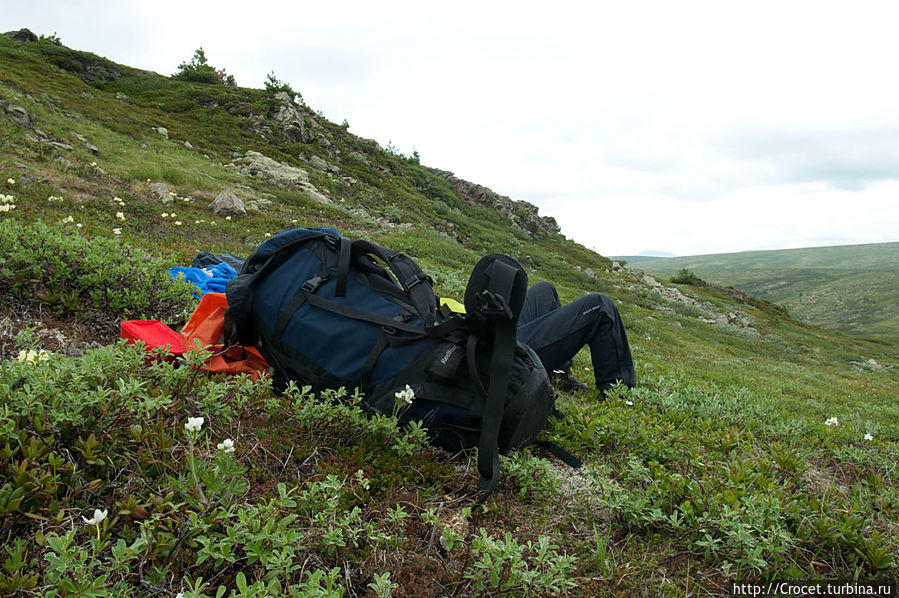 Технология будущего, рюкзак с ногами. Бежит впереди хозяина.