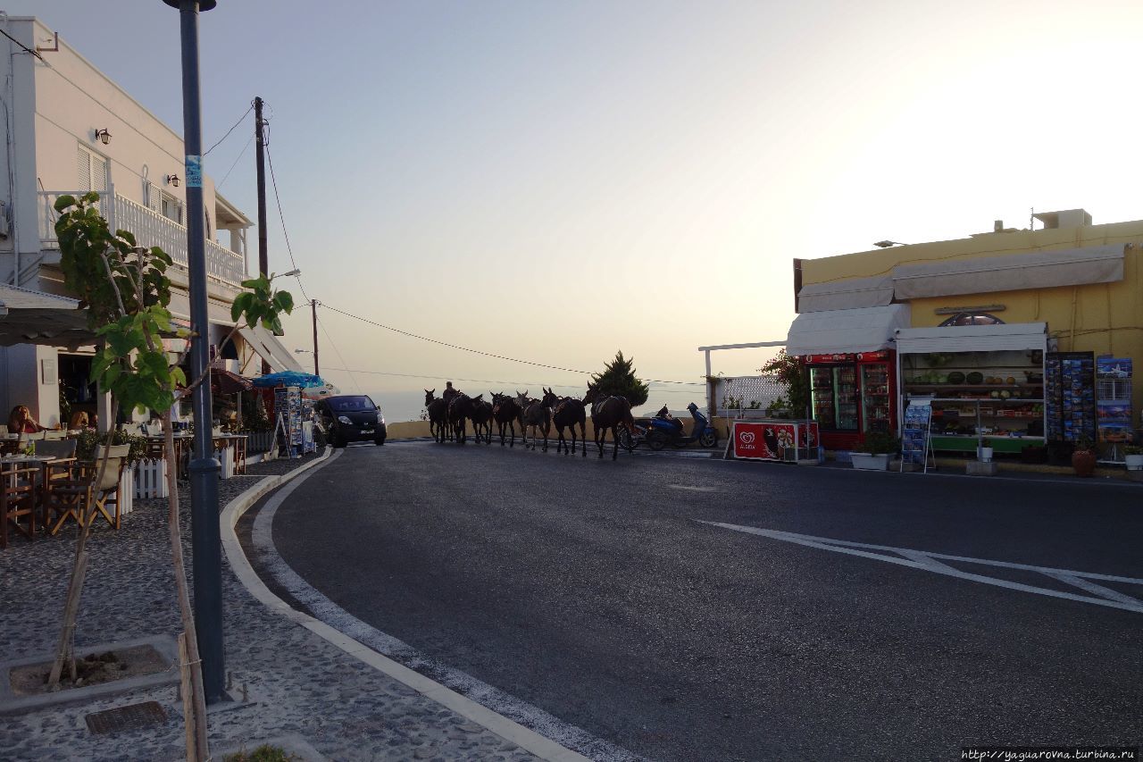 Белые стены и синие купола — Санторини Остров Санторини, Греция