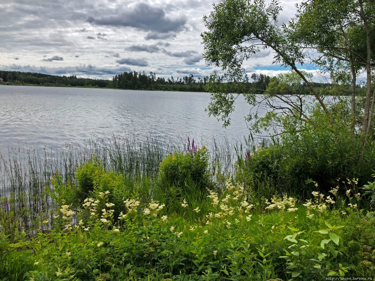 Озеро Бергквара Бергквара, Швеция