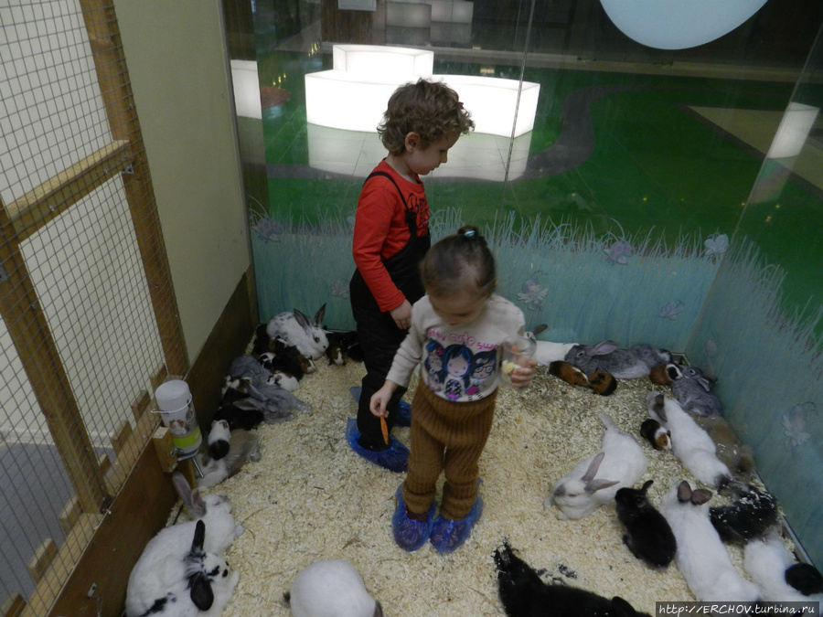 Детский контактный зоопарк Москва, Россия