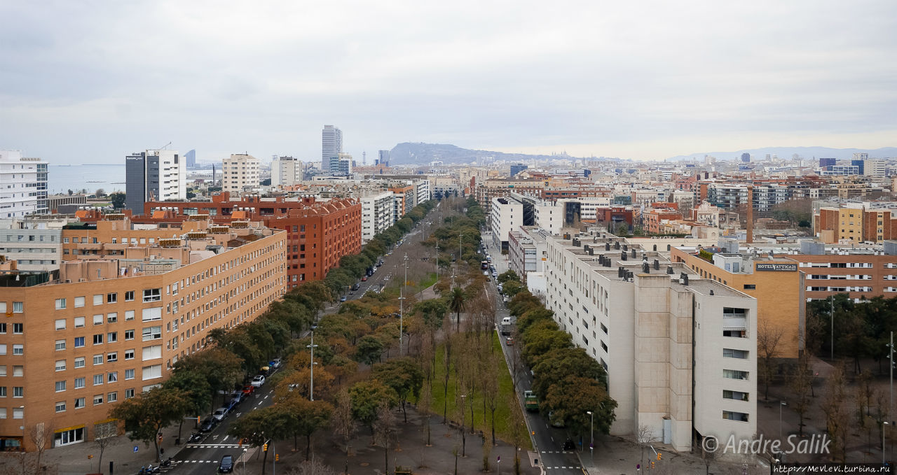Зимняя Барселона Барселона, Испания