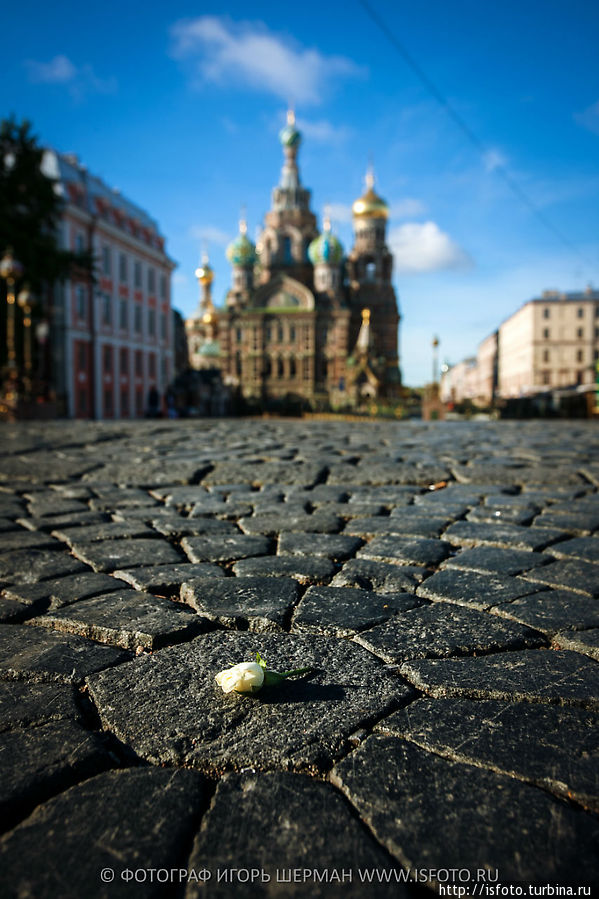 Петербург. Утро у Спаса-на Крови Санкт-Петербург, Россия