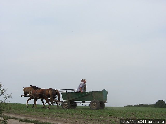 140 лет Почаевскому крестному ходу, 280 км за 7 дней. Опыт! Почаев, Украина