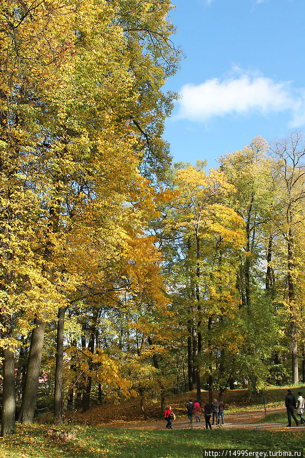 Золотая осень в парке Ораниенбаум Ломоносов, Россия