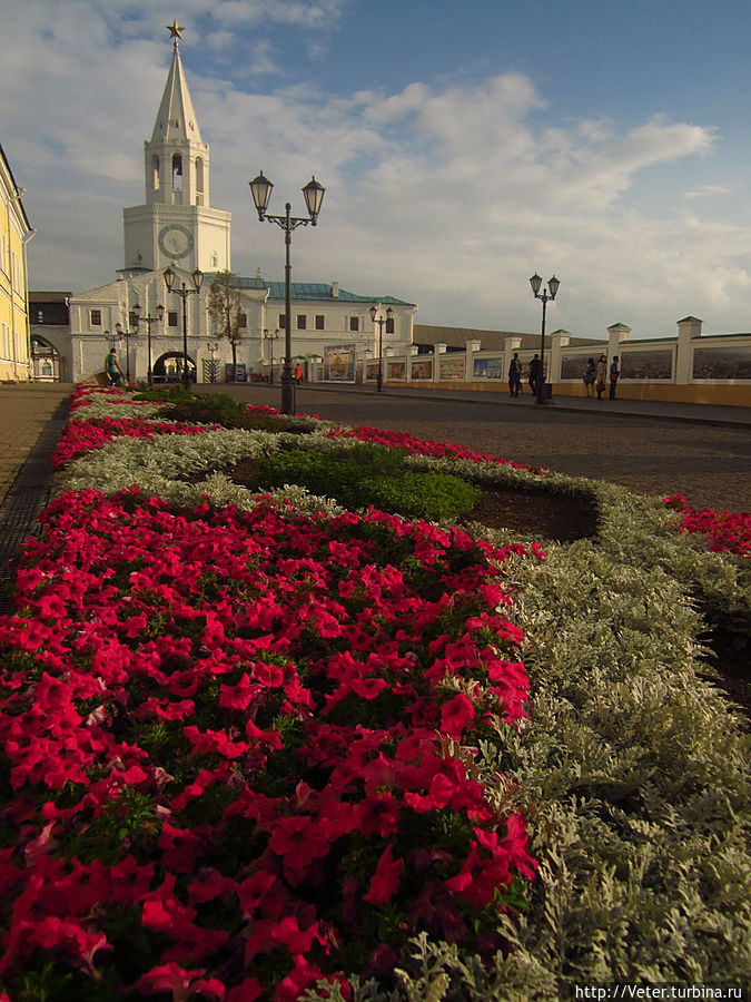 Яркость цветов разует глаза, поднимает настроение и наполняет жизненной энергией!