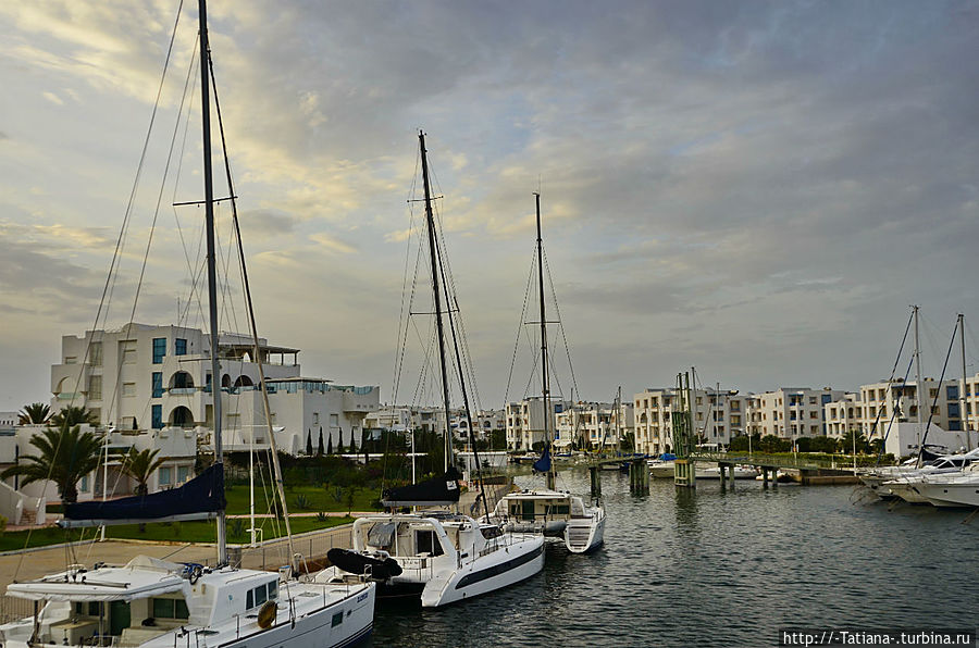 И каждый год жасмин парит в минувшем и грядущем лете Хаммамет, Тунис