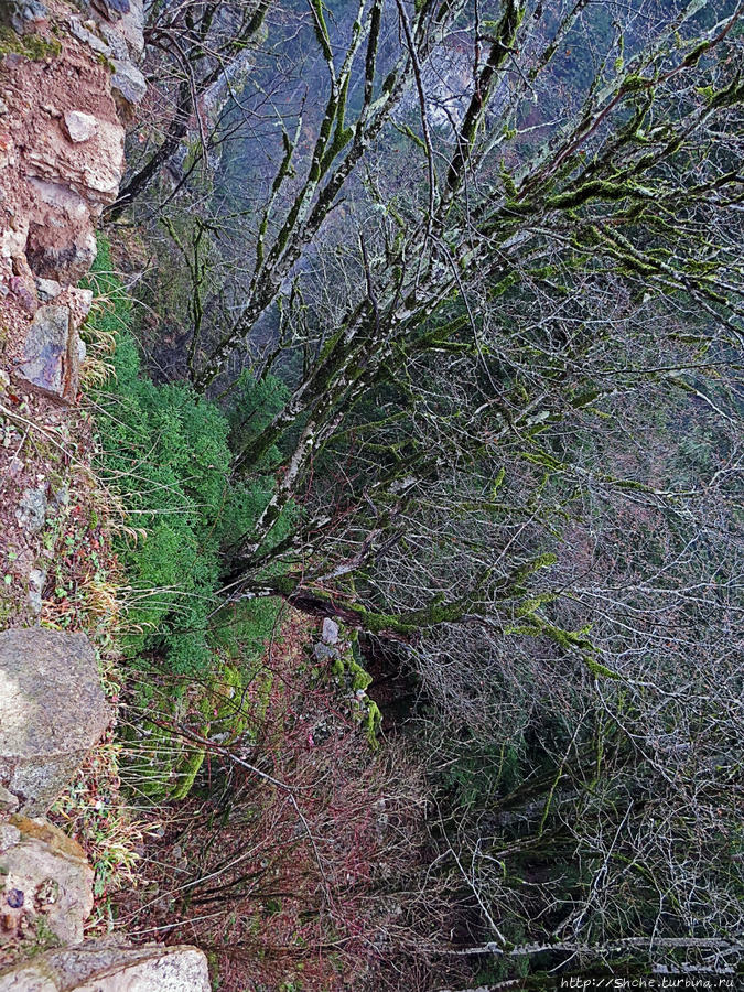 Старые руины Национальный парк Алтындере, Турция