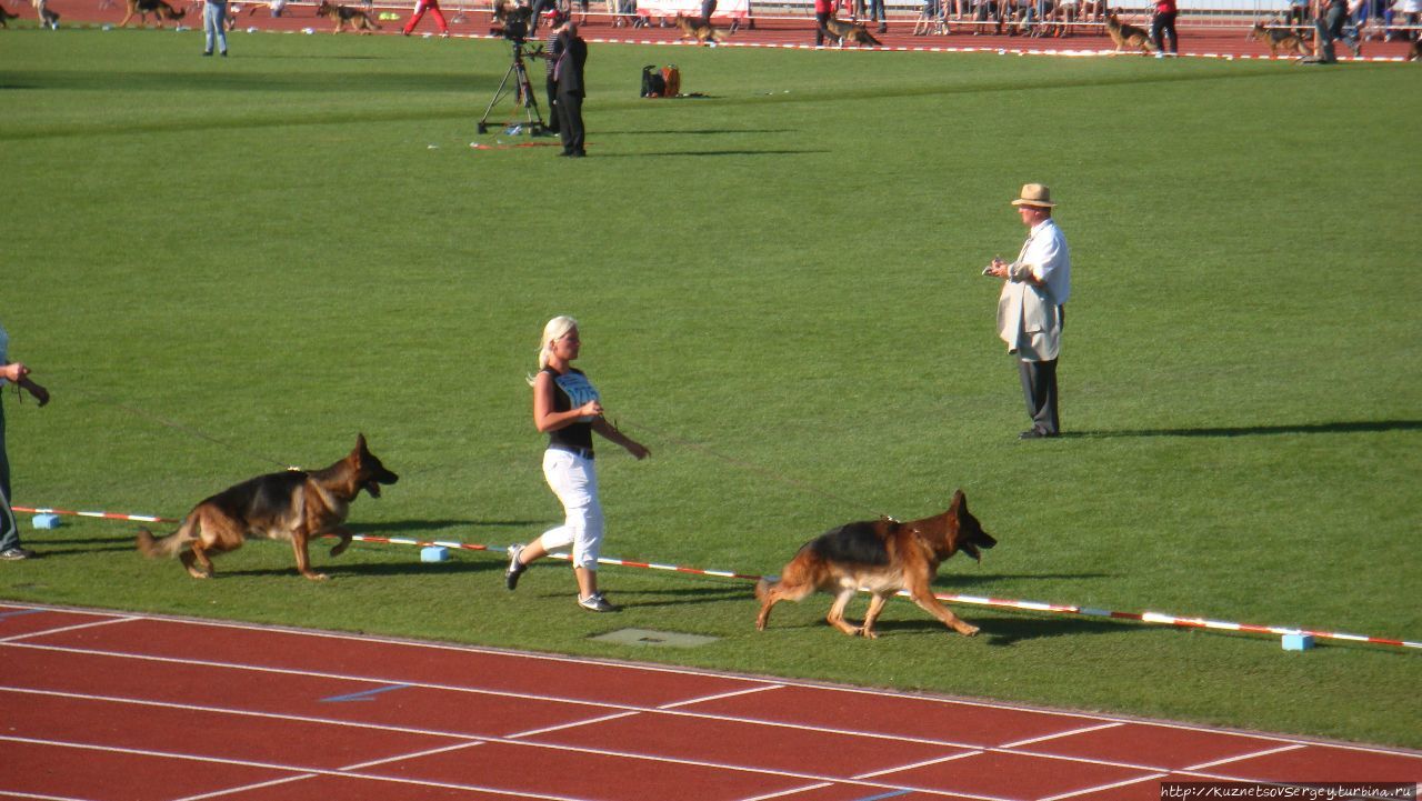 Зигер в Ульме Ульм, Германия Зигер в Ульме Ульм, Германия