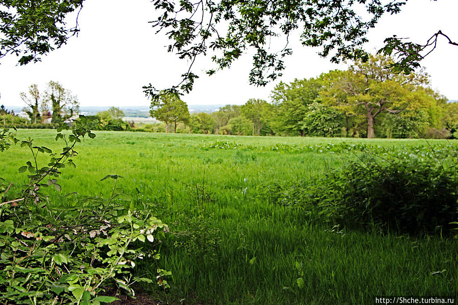 картинка прямо на выходе из территории отеля