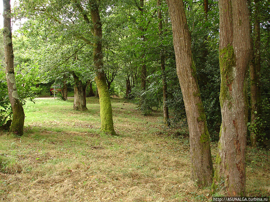 Природа щедро одарила астурийскую землю