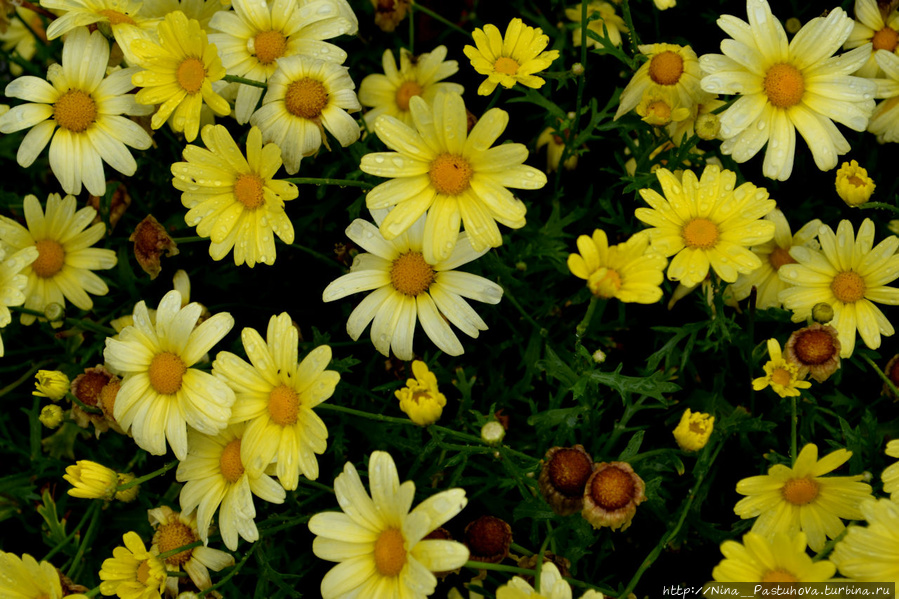 Парк размышлений Вигеланда Осло, Норвегия