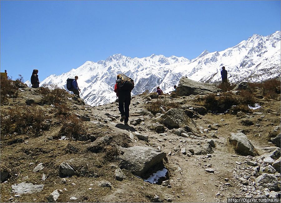 Еще немного, и мы достигнем конечной точки  нашего трека в долину Лангтанг — селения Кьянгджин Гомпа на высоте 3850 метров. Но это не конец нашего путешествия... Лангтанг, Непал