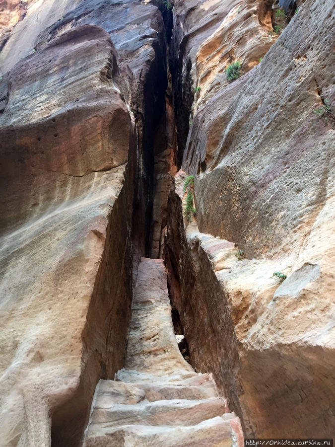 1200 метров по ущелью — каньон Петра Петра, Иордания