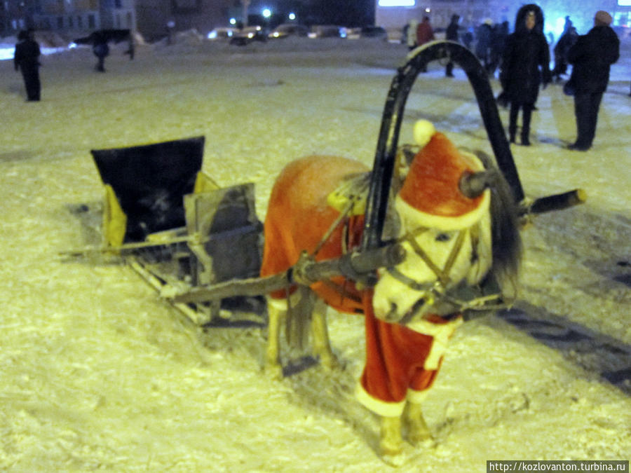 ... или с помощью гужевого транспорта, одетого в костюм Санта Пони. Красноярск, Россия