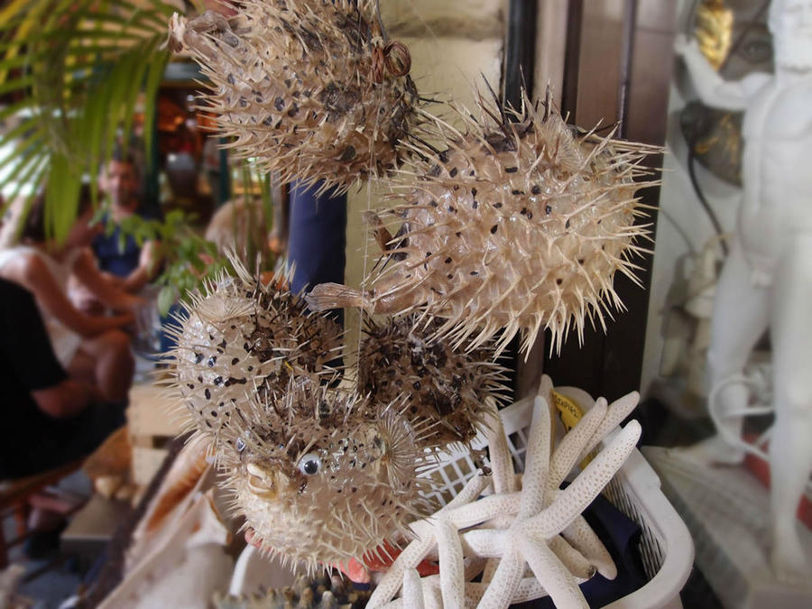 Греция. Релакс. Развлечения Салоники, Греция