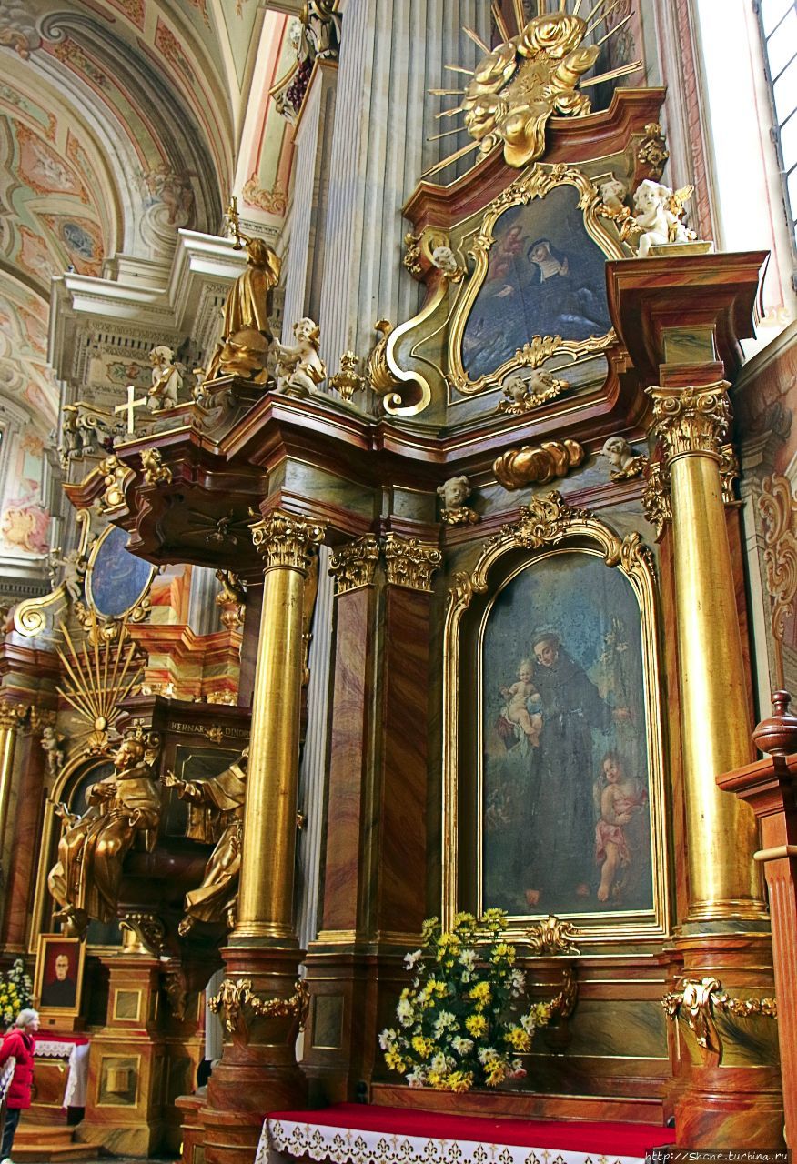 Костел Академический св. Анны Варшава, Польша