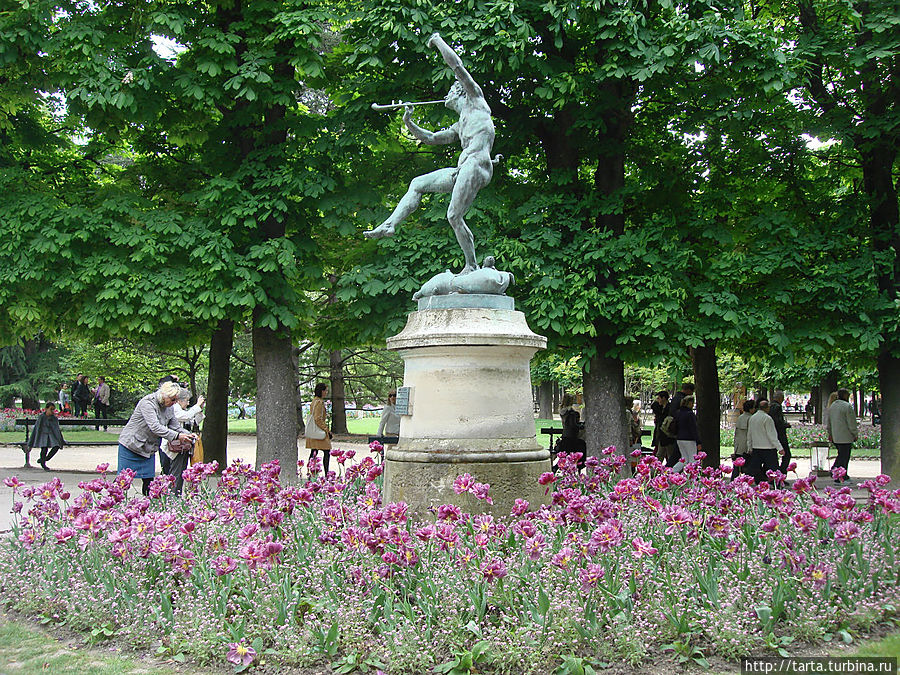 Фотоаппаратами 