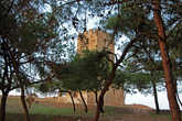 вот показалась Византийская башня сквозь ветви огромных сосен