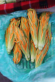 критское национальное блюдо -фаршированные рисом цветы тыквы