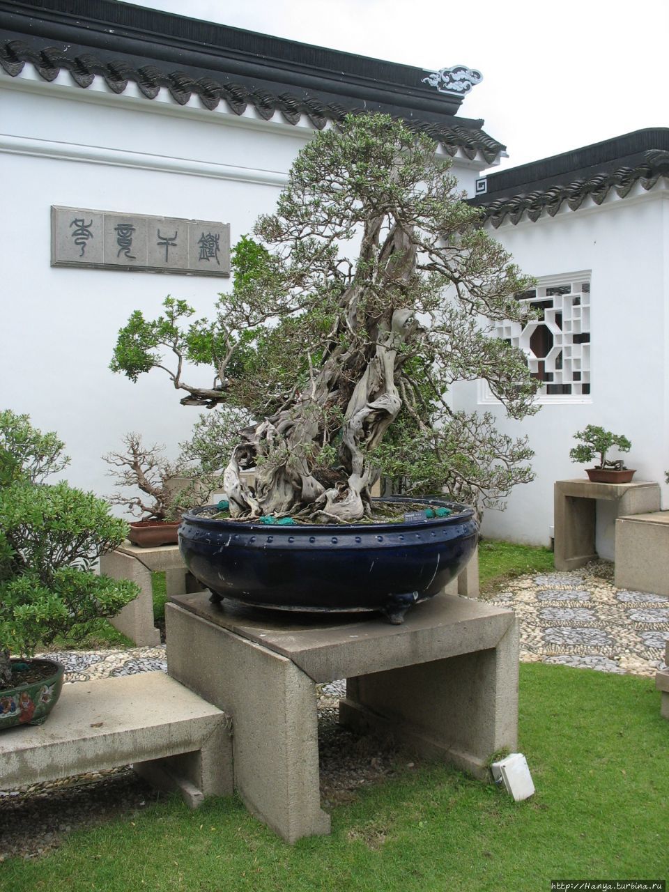 Китайский садик в Сингапуре