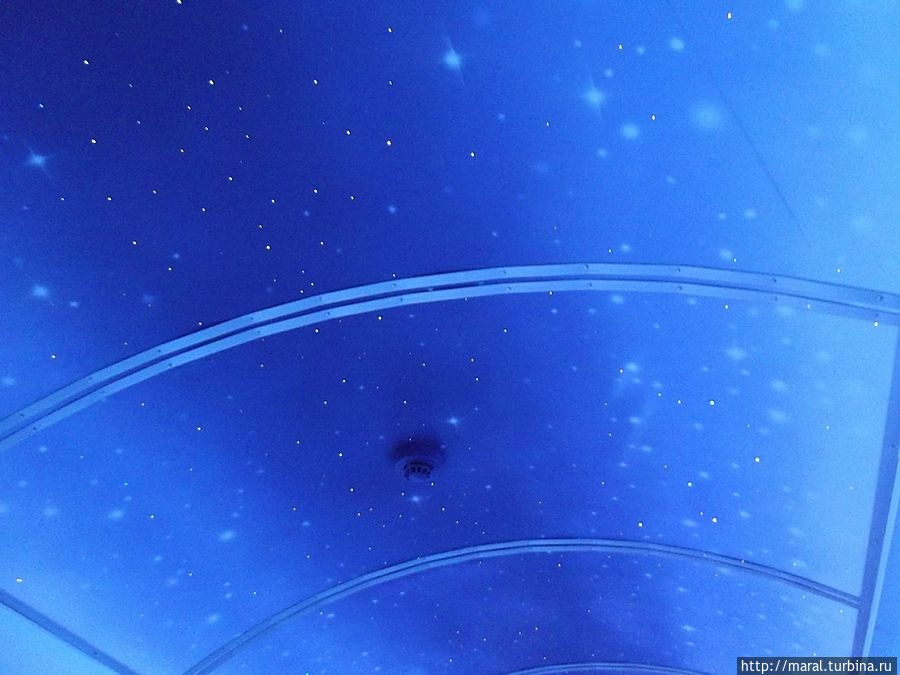 Звёздное небо в вагоне-лектории Ярославская область, Россия