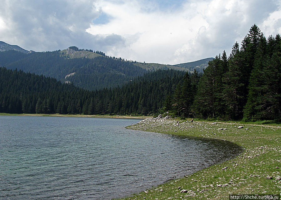Живописные берега горного Черного озера в нац.парке Дурмитор Жабляк, Черногория