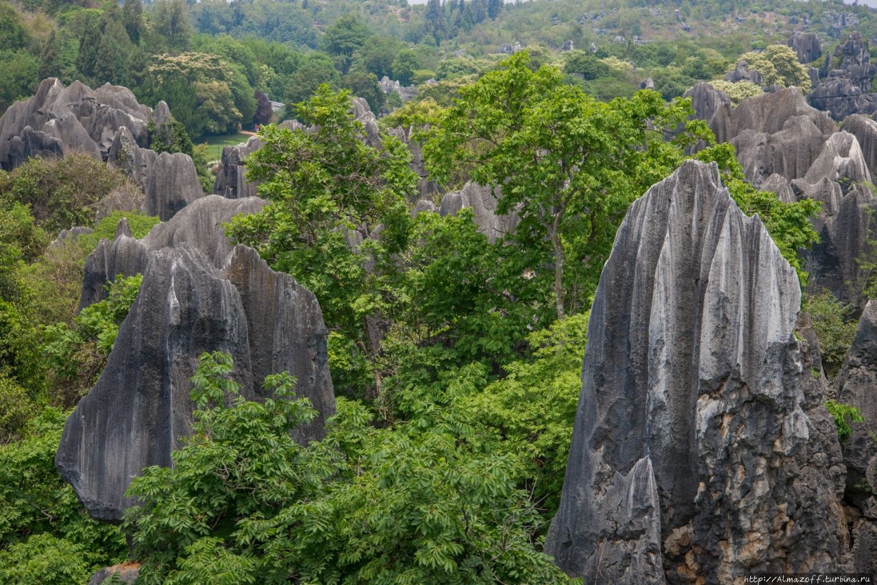 Каменный лес Шилинь - визитная карточка Куньминя