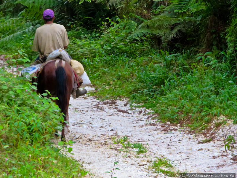 Карибский дневник. Эко-туризм в горах. Барахона, Доминиканская Республика
