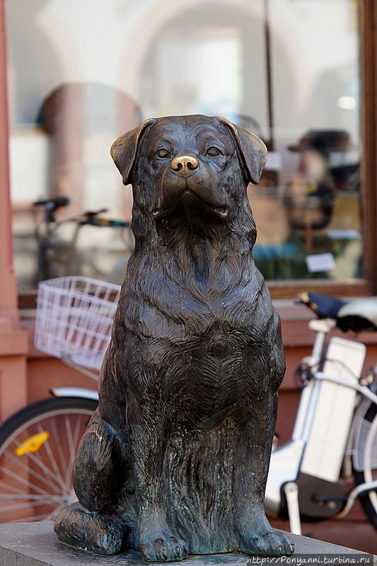 Ротвайль. О старом городе и собаке мясника Ротвайль, Германия