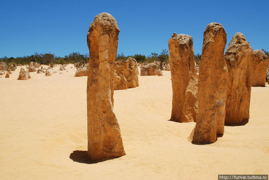 Долина фаллосов в пустыне Pinnacles Desert Намбунг Национальный Парк, Австралия