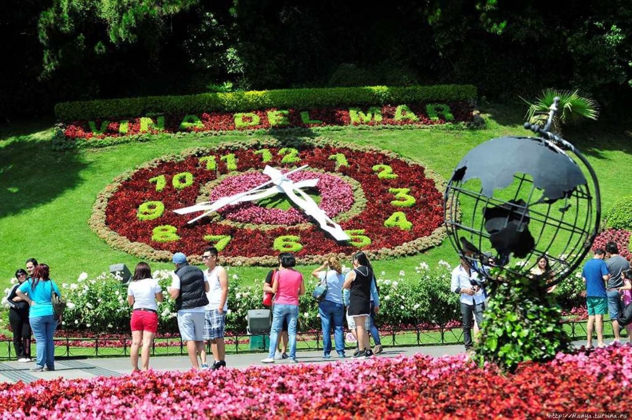 Цветочные часы / Reloj de Flores, Flower Clock