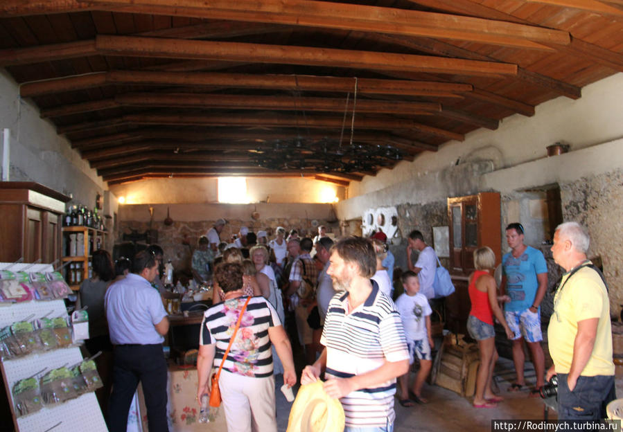 Винная фабрика Дивино / Divino Winery