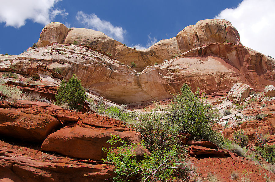 Поход к водопаду Calf Creek Falls Тропик, CША