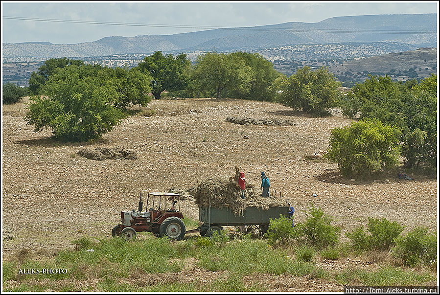 Все-таки в Марокко везде чувствуется цивилизация. Это даже не совсем Африка, особенно в прибрежных районах...
*