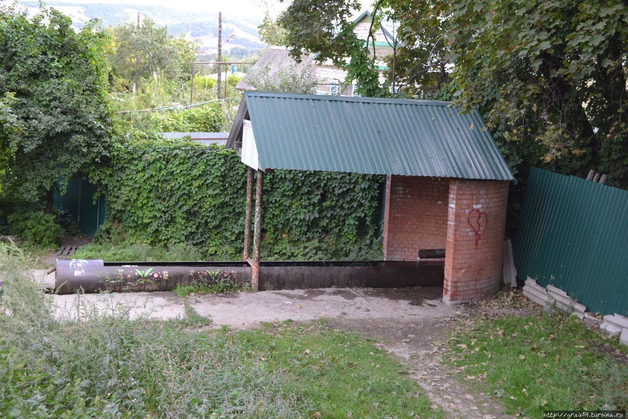 Поющий родник / Singing spring