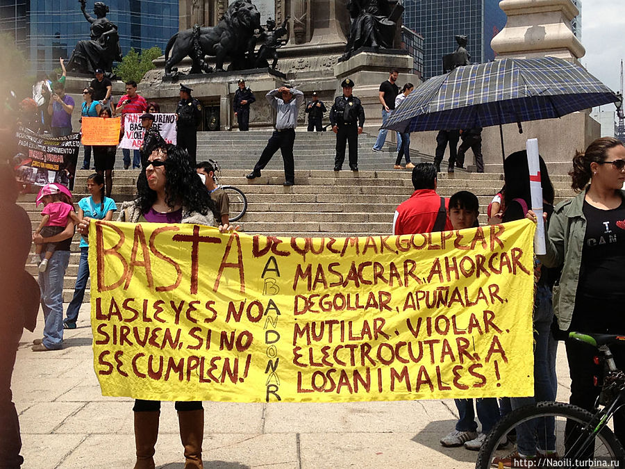 Надпись Хватит бить, бросать, убивать животных Законы не работают, если их не выполнять! Мехико, Мексика