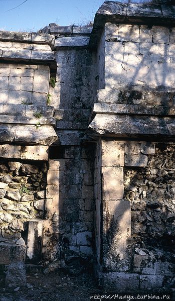 Из интернета