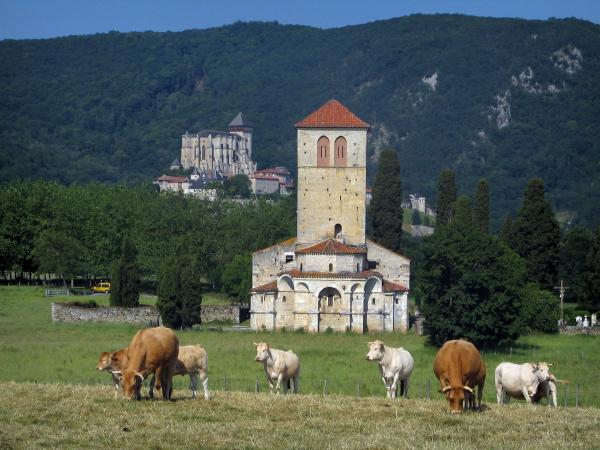 Базилика Сен-Жус-де-Валькабрер / Basilique Saint-Just de Valcabrère