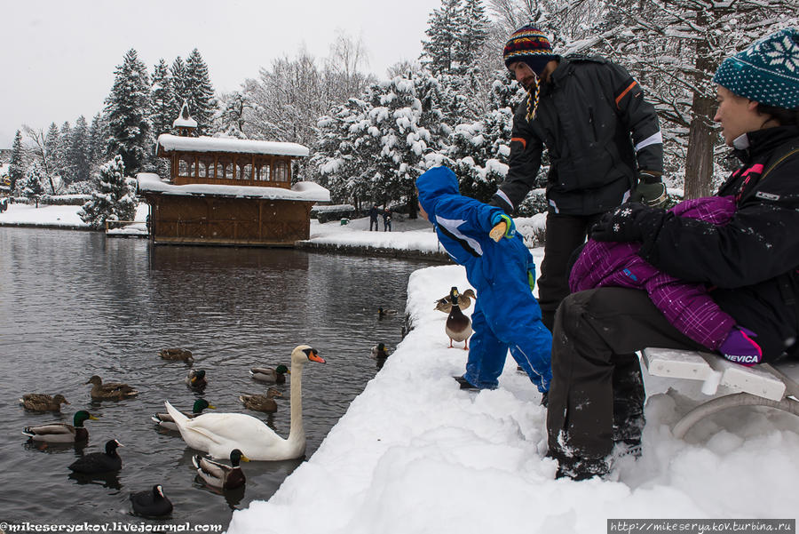 Бл.дское езеро в последний день уходящего года Блед, Словения