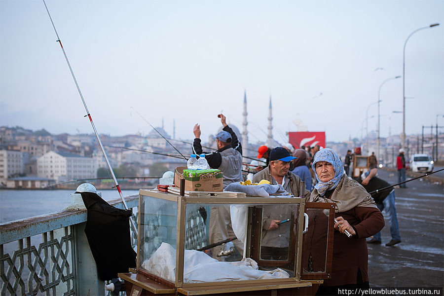 Стамбул. Турция. Знакомство Стамбул, Турция